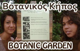 Botanic garden