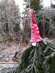 Short story from "Elf Around!" EVS project in Finland